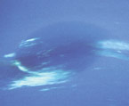 Neptune's Great Dark Spot